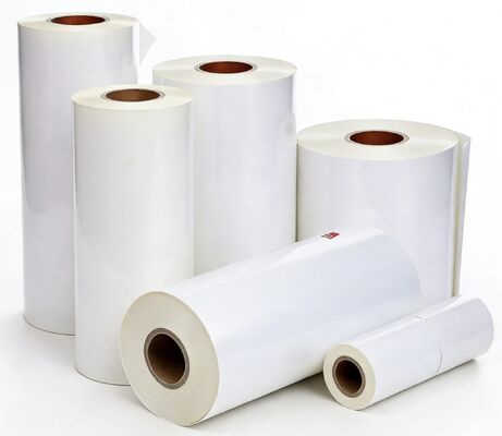 Película de laminação de brilho premium com acabamento esverdeado liso e EVA 100% da Coreia Adesivo para embalagens de luxo