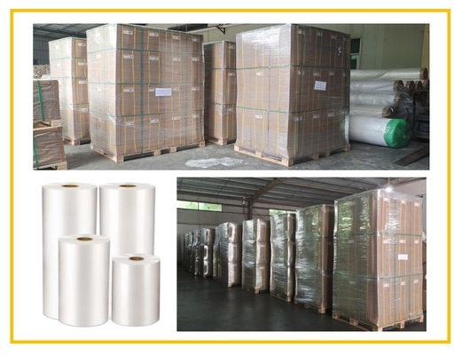 SGS Glans Lamination Film 20mic Plástico EVA revestido Film Lamination térmico quente