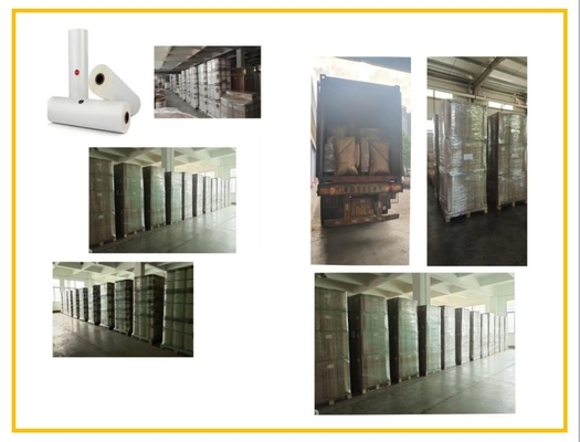 25mic Gloss Bopp Lamination Film Cor Branca de Pérola