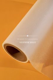 Filme quente Rolls da laminação da extrusão múltipla com a EVA superior para compartimentos