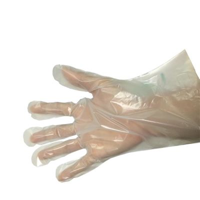 Luvas descartáveis biodegradáveis Compostable de 200 mícrons 100%